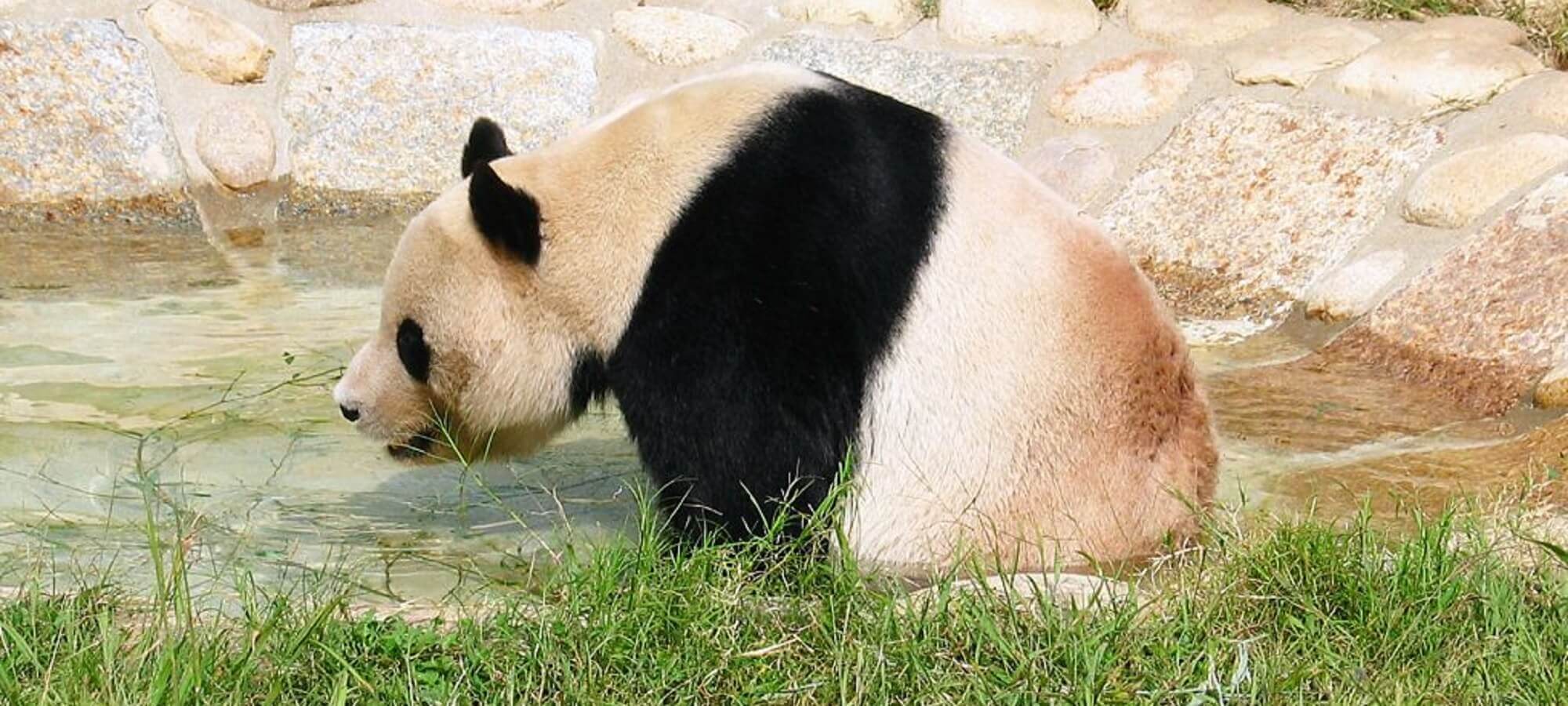 神戸市立王子動物園