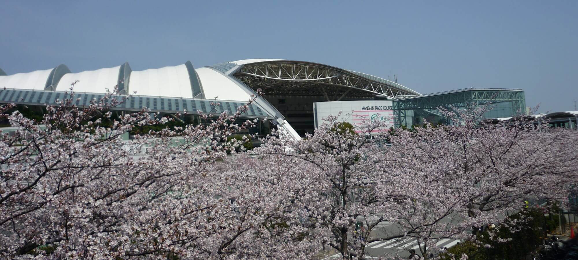 阪神競馬場